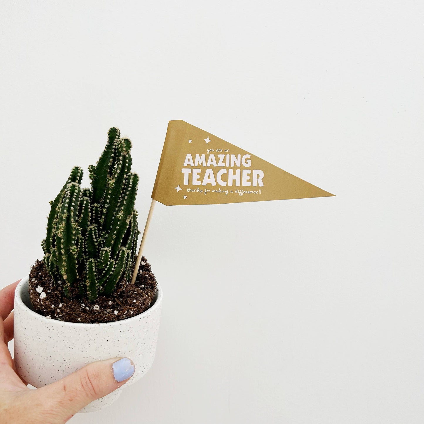 you are an amazing teacher