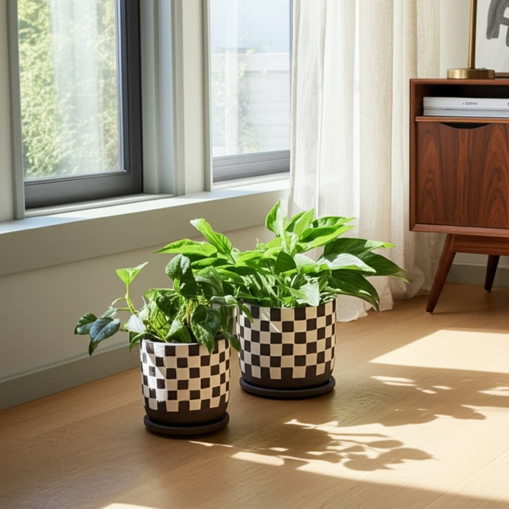 Ceramic Checkerboard Saucer Planters Set - Brown, 5/6 in.