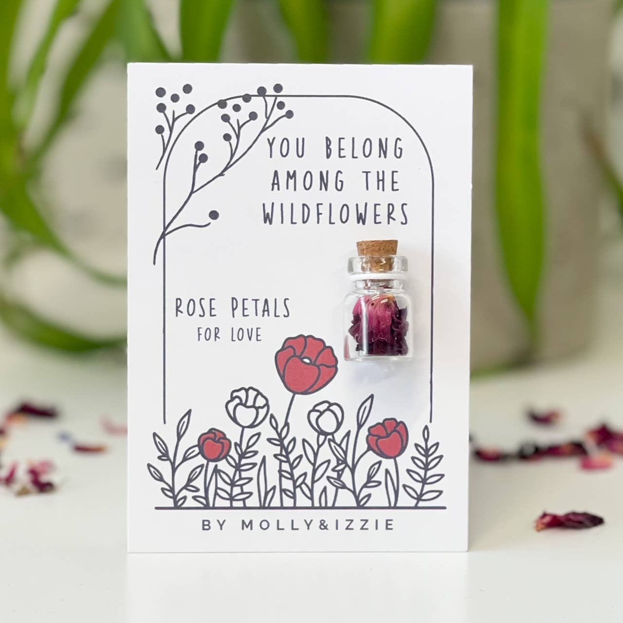 Flower Petals in Jar - Rose