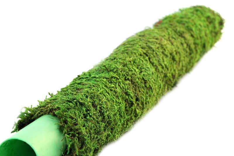 SuperMoss Moss Poles: 24"