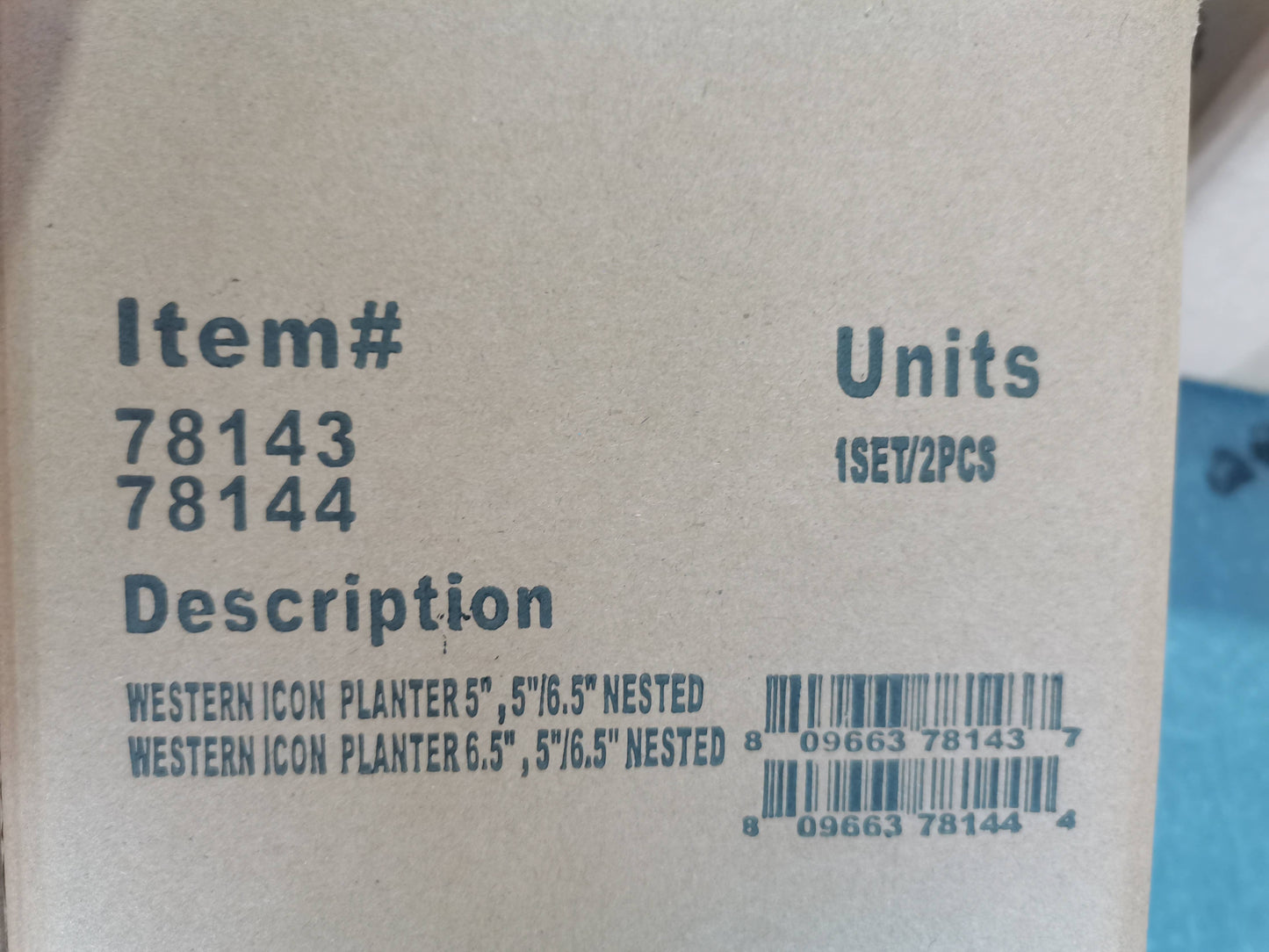 WESTERN ICON PLANTER 5"
