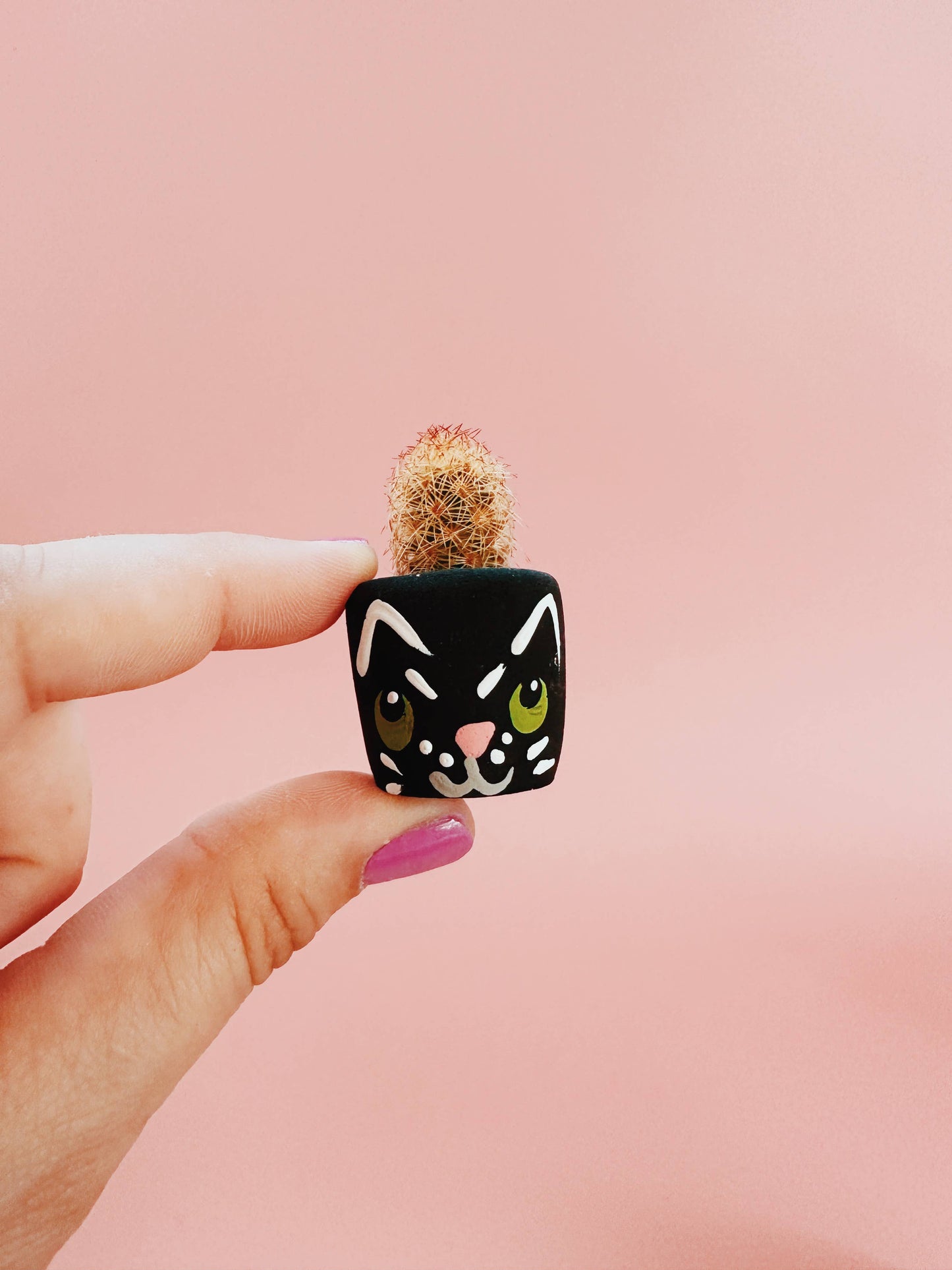 Black Cat Mini Planter with Cactus