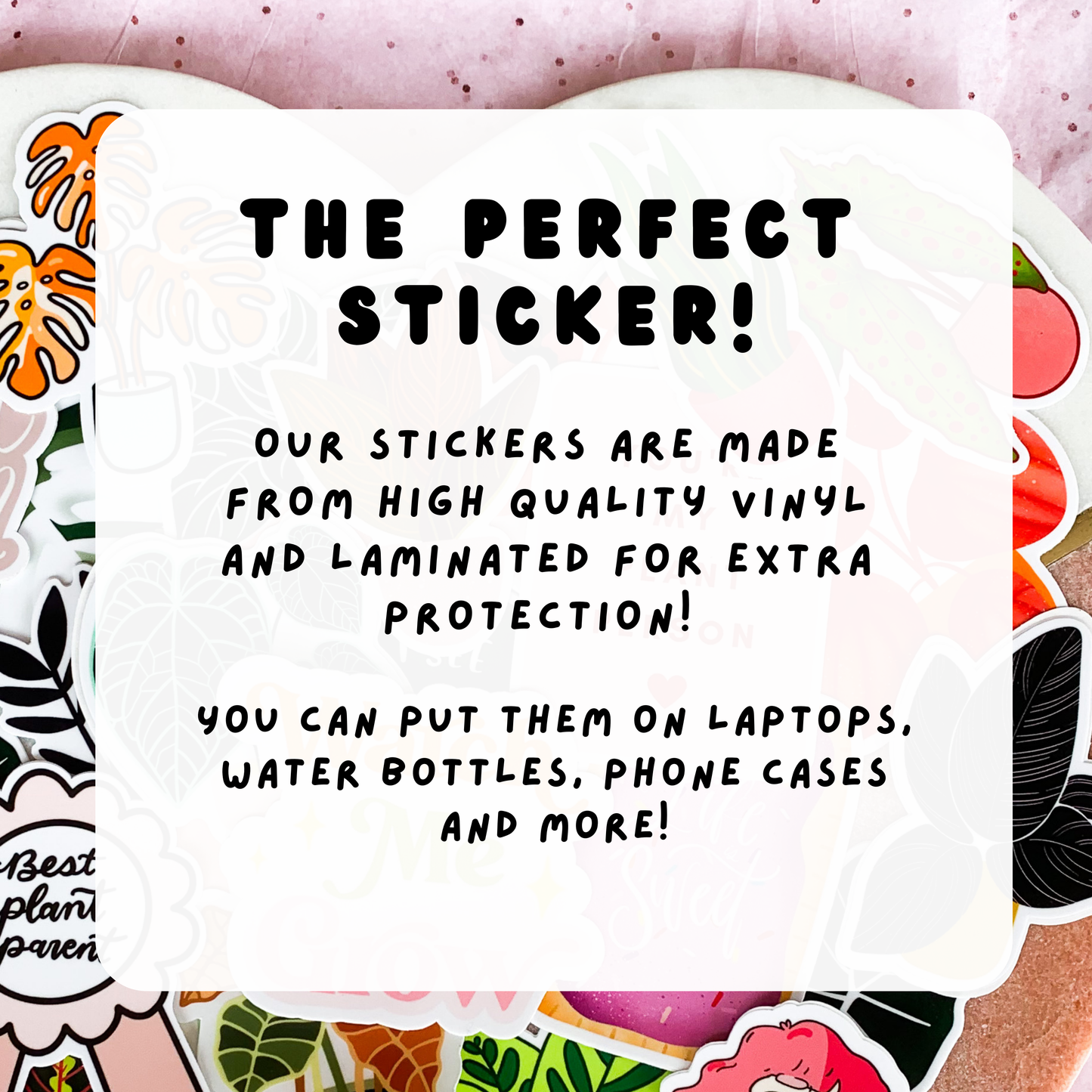 Anthurium Clarinervium Plant Sticker