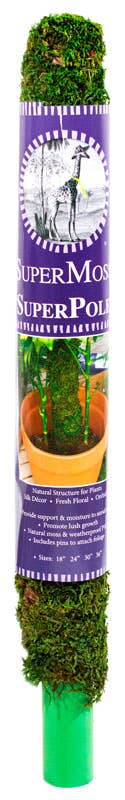 SuperMoss Moss Poles: 24"