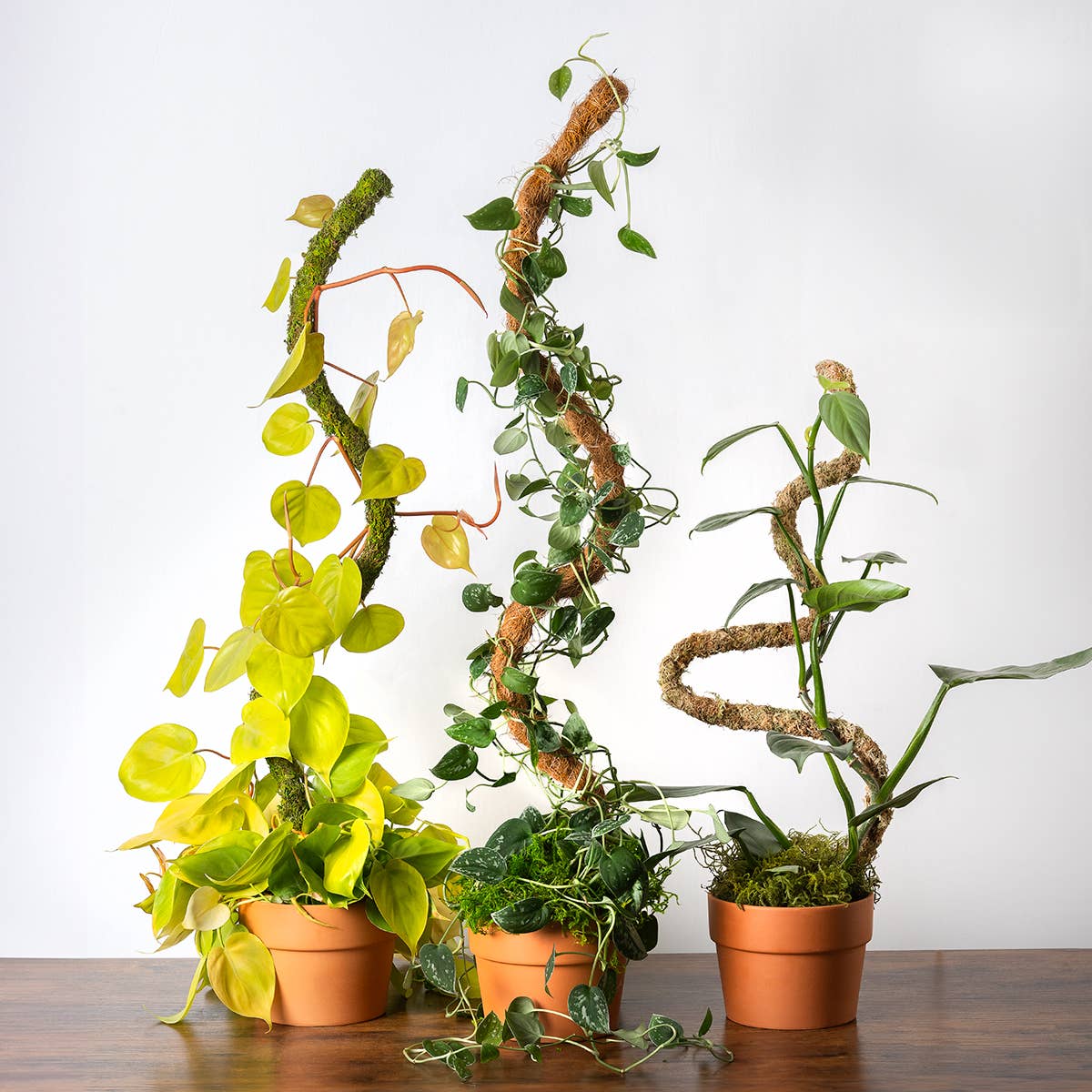 The SuperMoss Bendable SuperPole.: Coco Fiber Pole