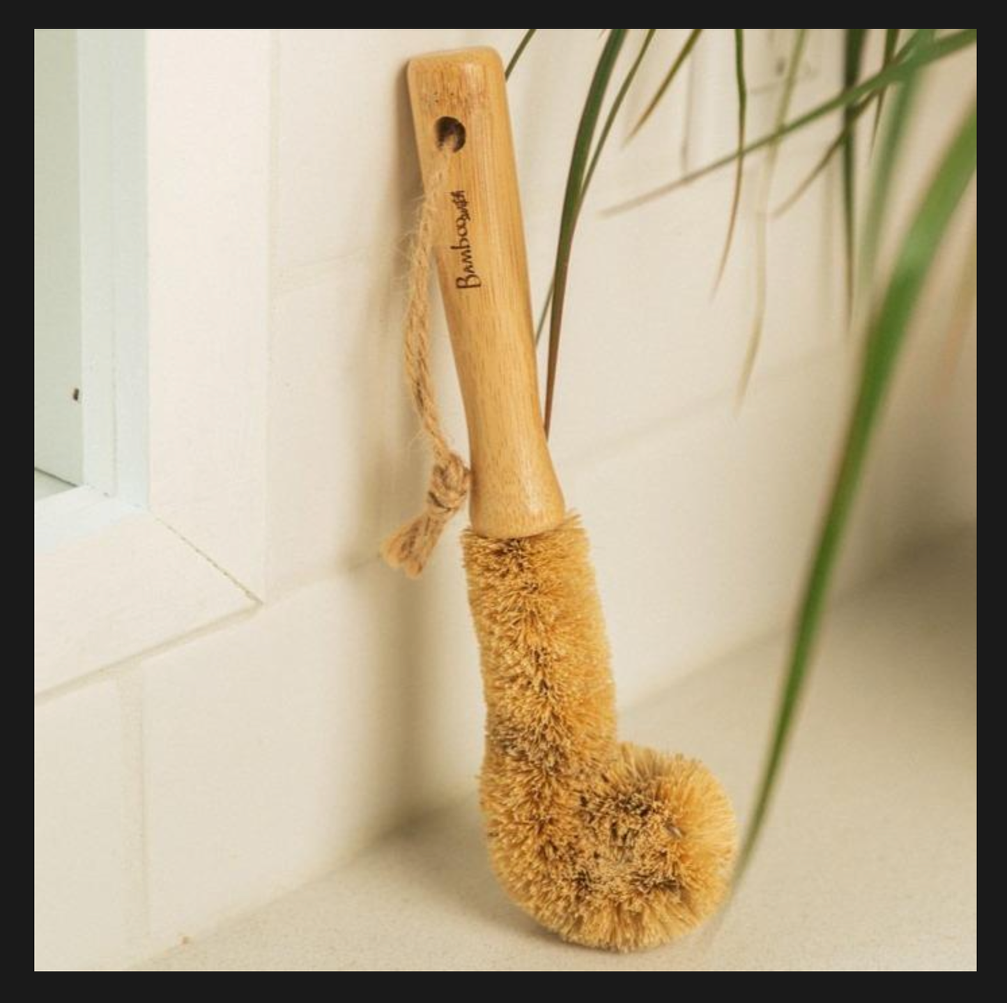 Bamboo Glassware Scrub Brush: Rounded Brush