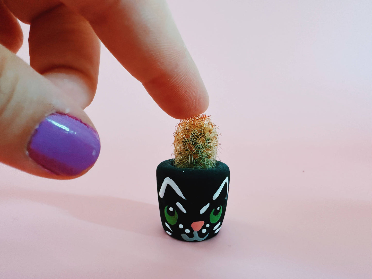 Black Cat Mini Planter with Cactus