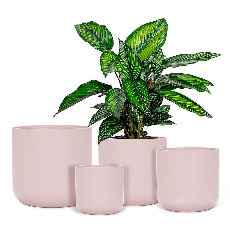 Xlg Classic Planter-Pink-8"H