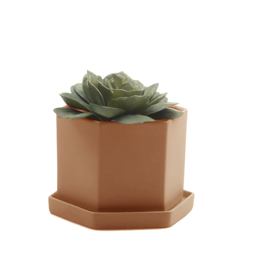 Hexi Ceramic Pots and Planters: White / 3.5"