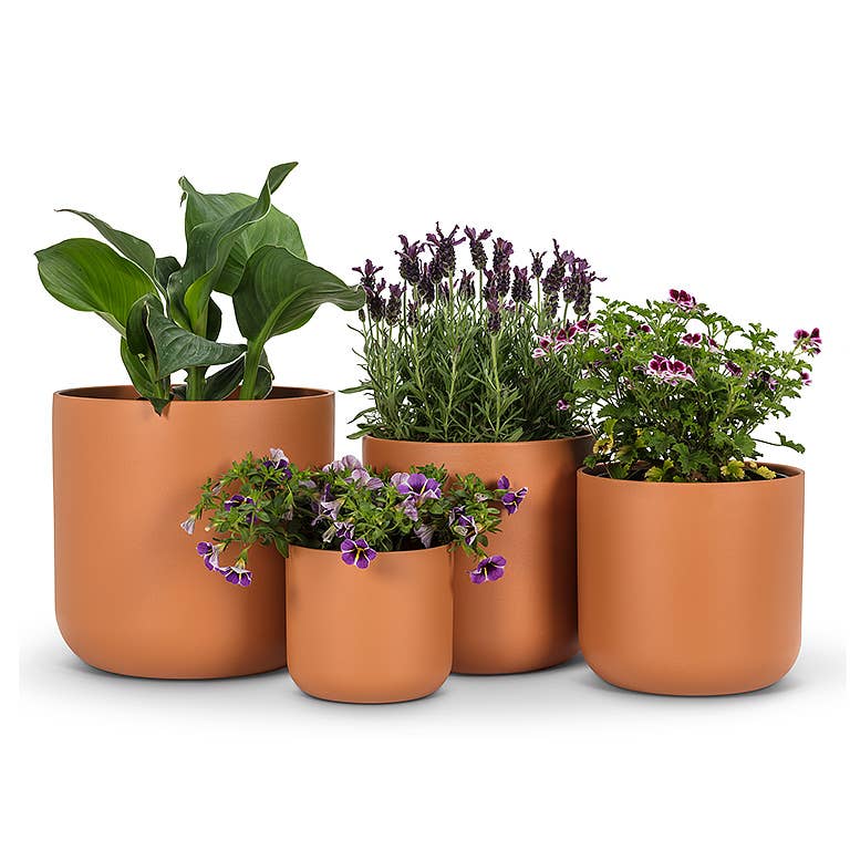 Xlg Classic Planter-Terracotta-8"H