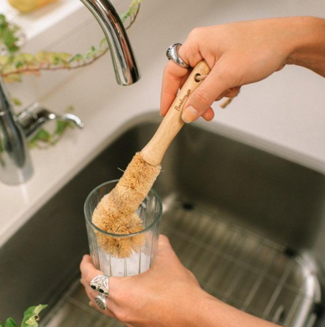 Bamboo Glassware Scrub Brush: Rounded Brush
