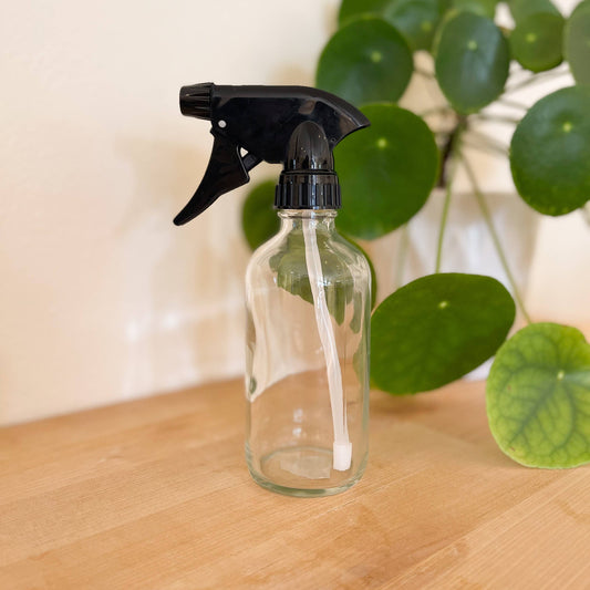 8 oz Clear Glass Bottle Spray or Pump: Spray Cap