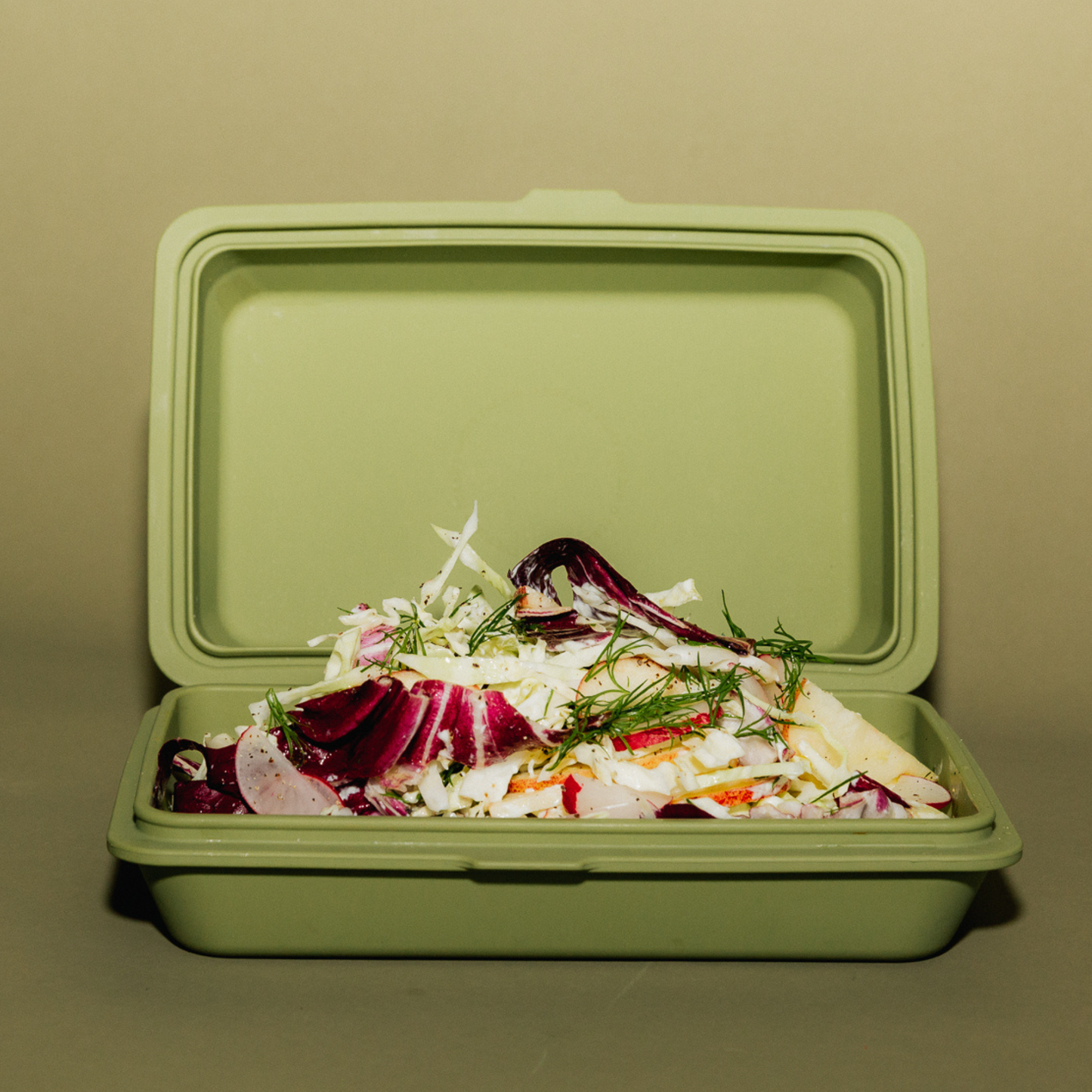 The Takeaway Box - Cactus Jam: Cactus Jam