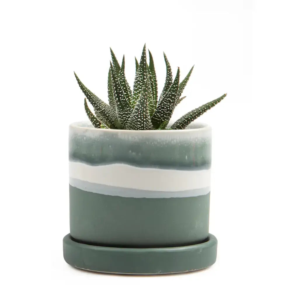 Minute Ceramic Plant Pots Indoor: Green Layers / 5"