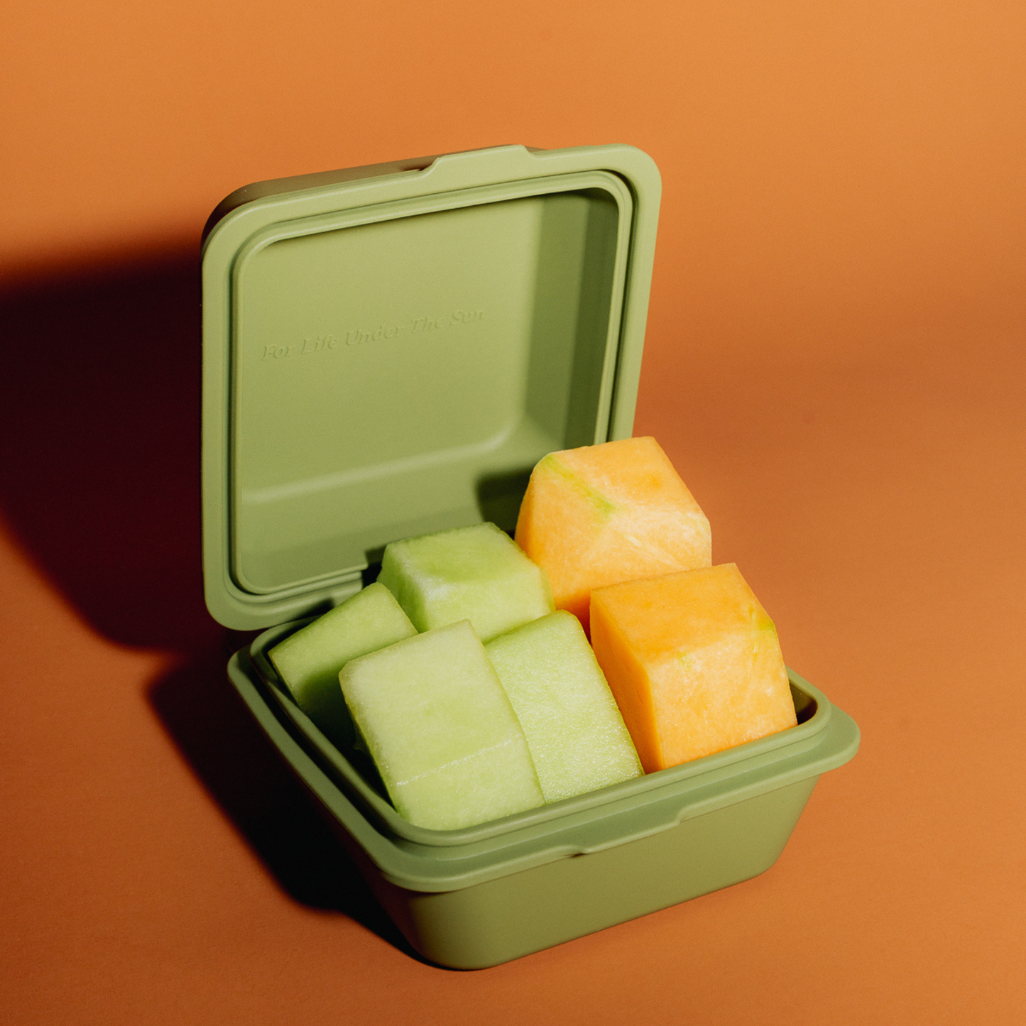 The Burger Box - Cactus Jam: Cactus Jam