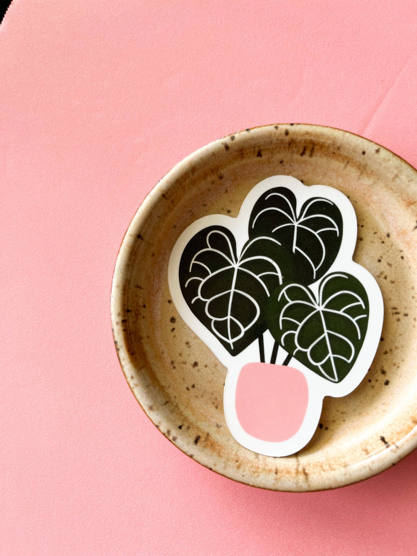 Anthurium Clarinervium Plant Sticker