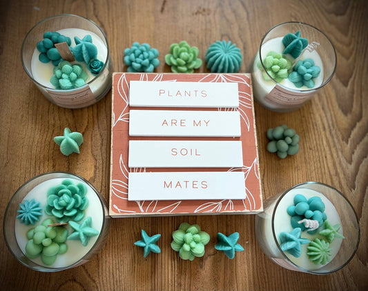 Cacti Blossom Terrarium Candle