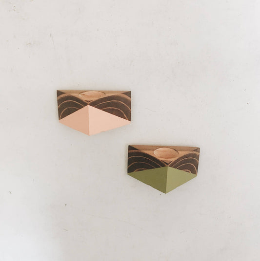 Triangle Air Plant Magnets (W/ PLANT)