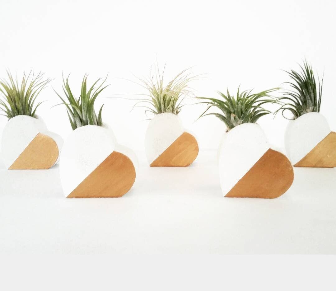 Heart Air Plant Holder (AIR PLANT INCLUDED)