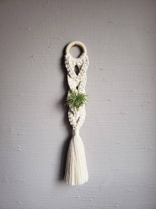 Air Plant Hanger Plaited - Brushed - White