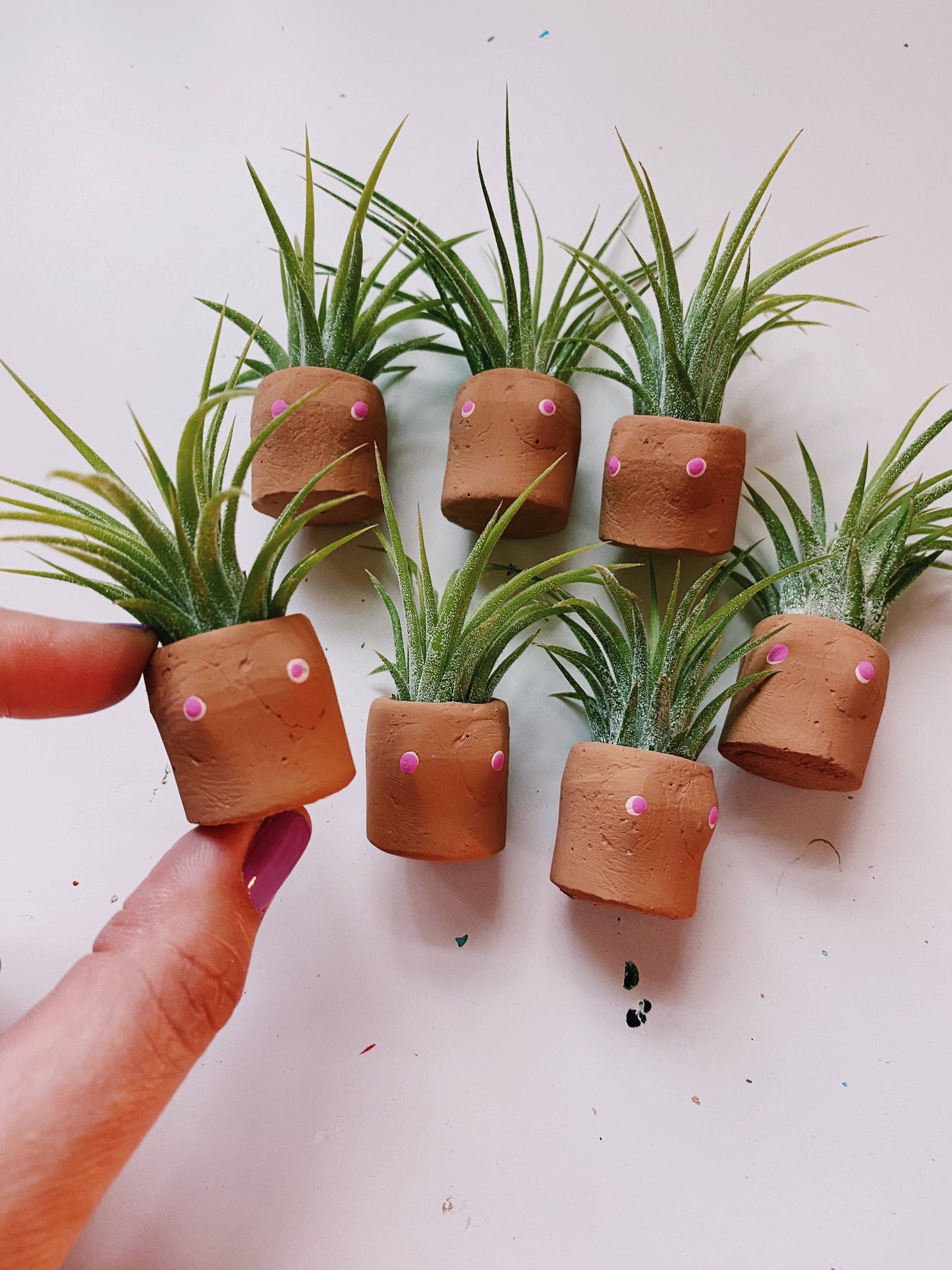 Cactits Mini Planter and Plant