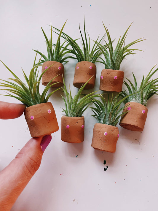 Cactits Mini Planter and Plant