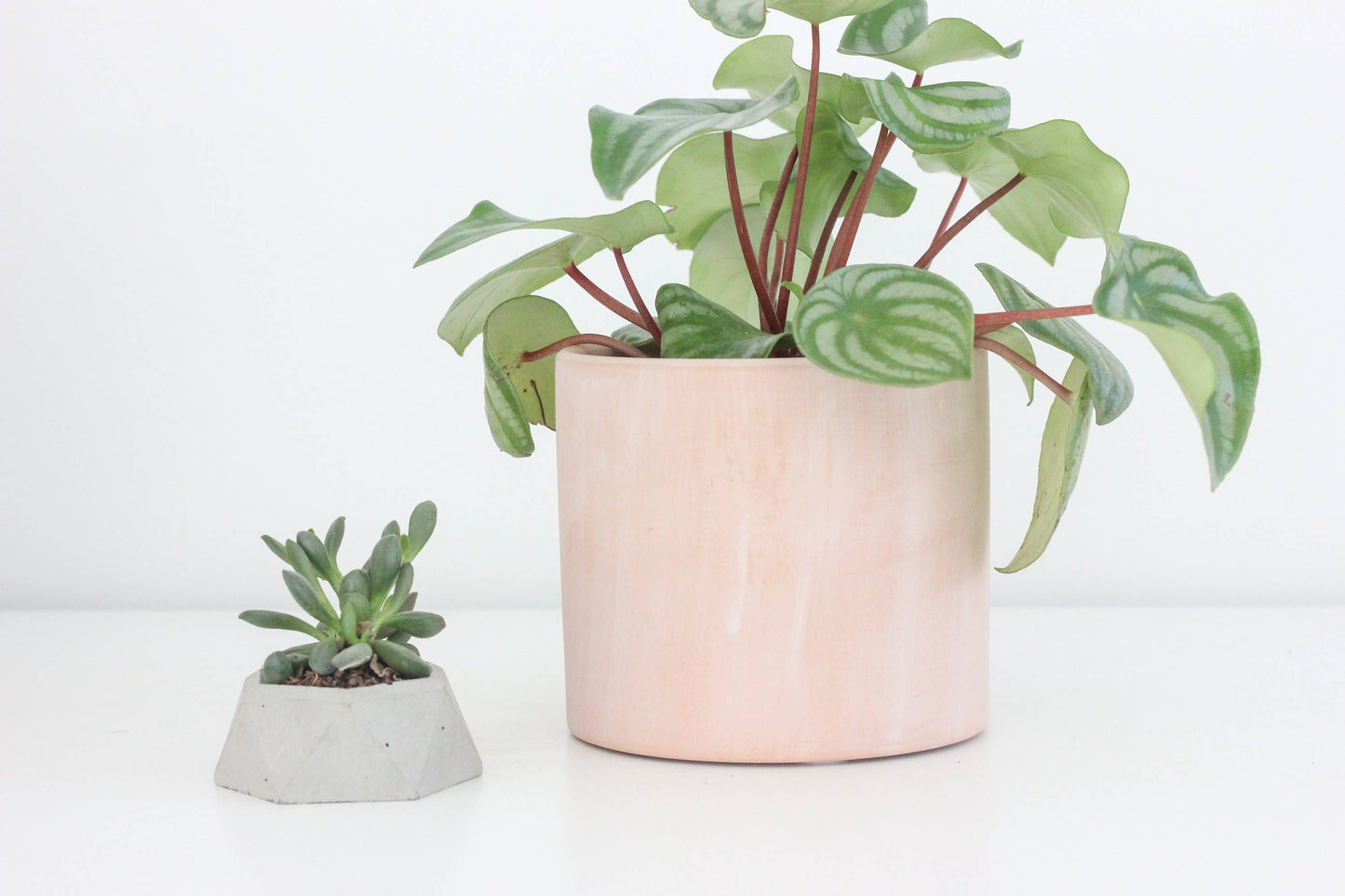 Terracotta Blush Pink Cylinder Planter