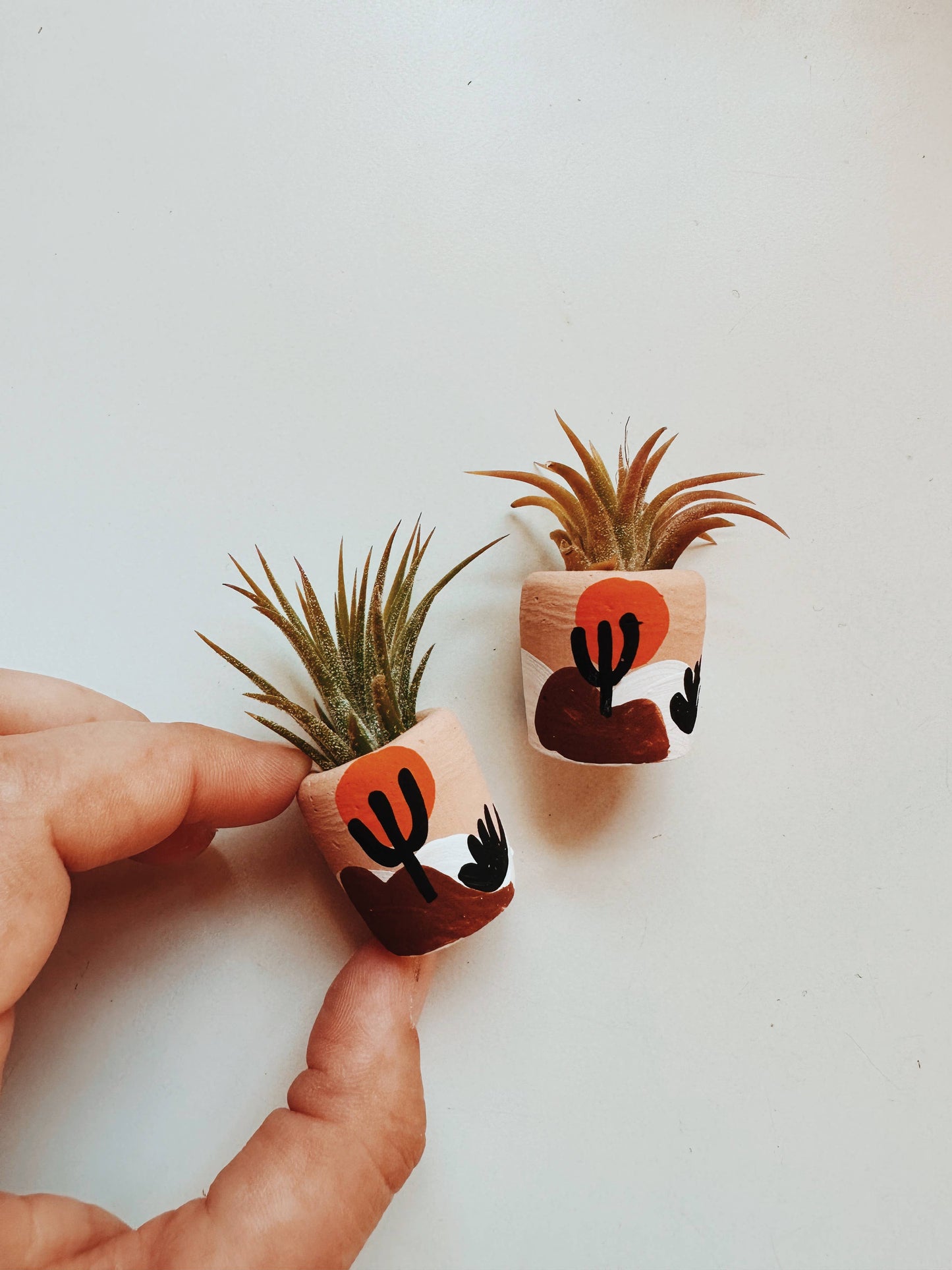 Joshua Tree Mini Planter