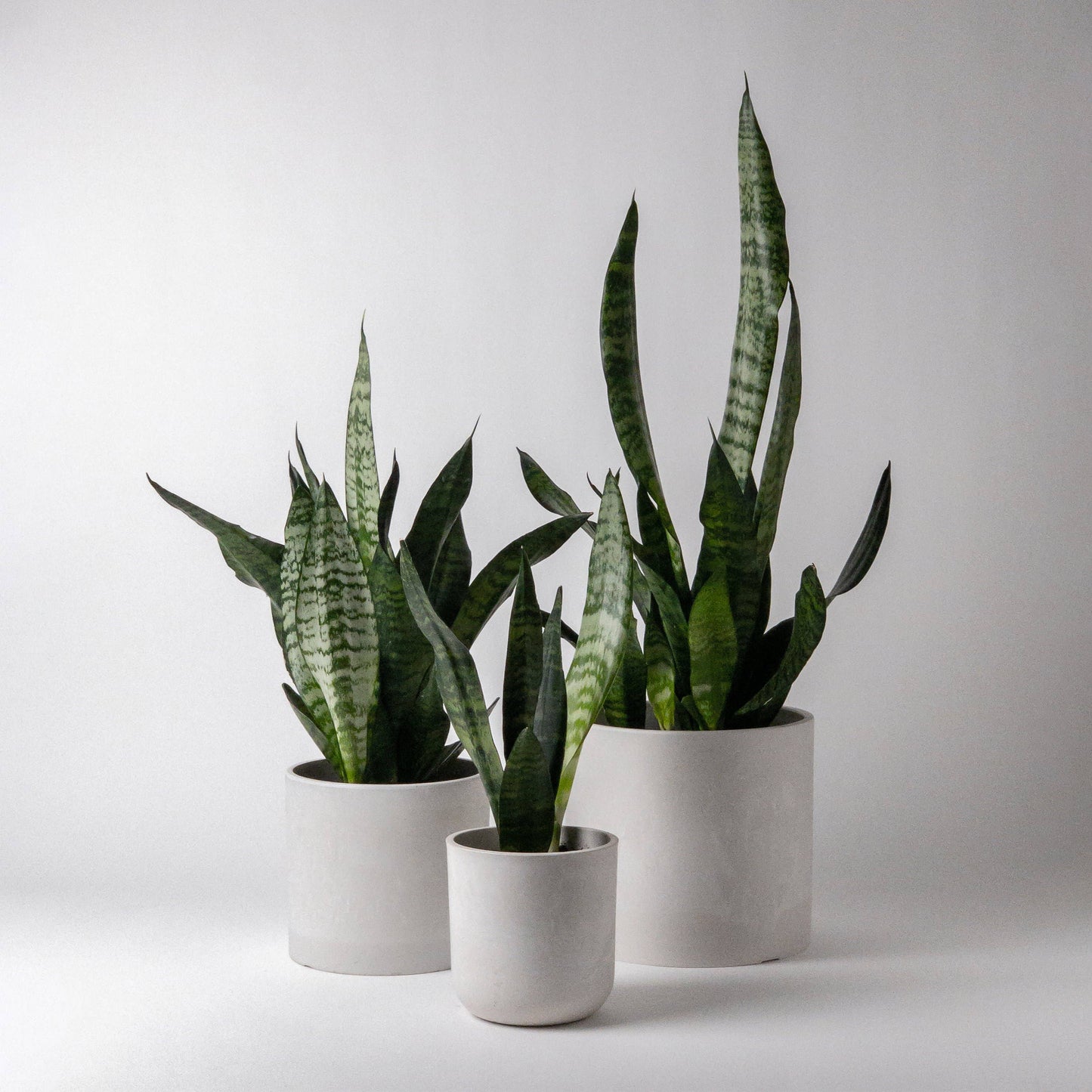 Signature Stone Planters Pots 4” no saucer