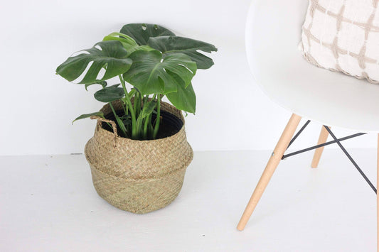Woven Seagrass Belly Basket Planter 12"