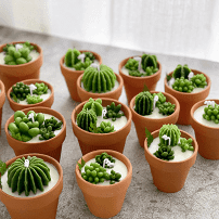 Mini Potted Succulent Candles