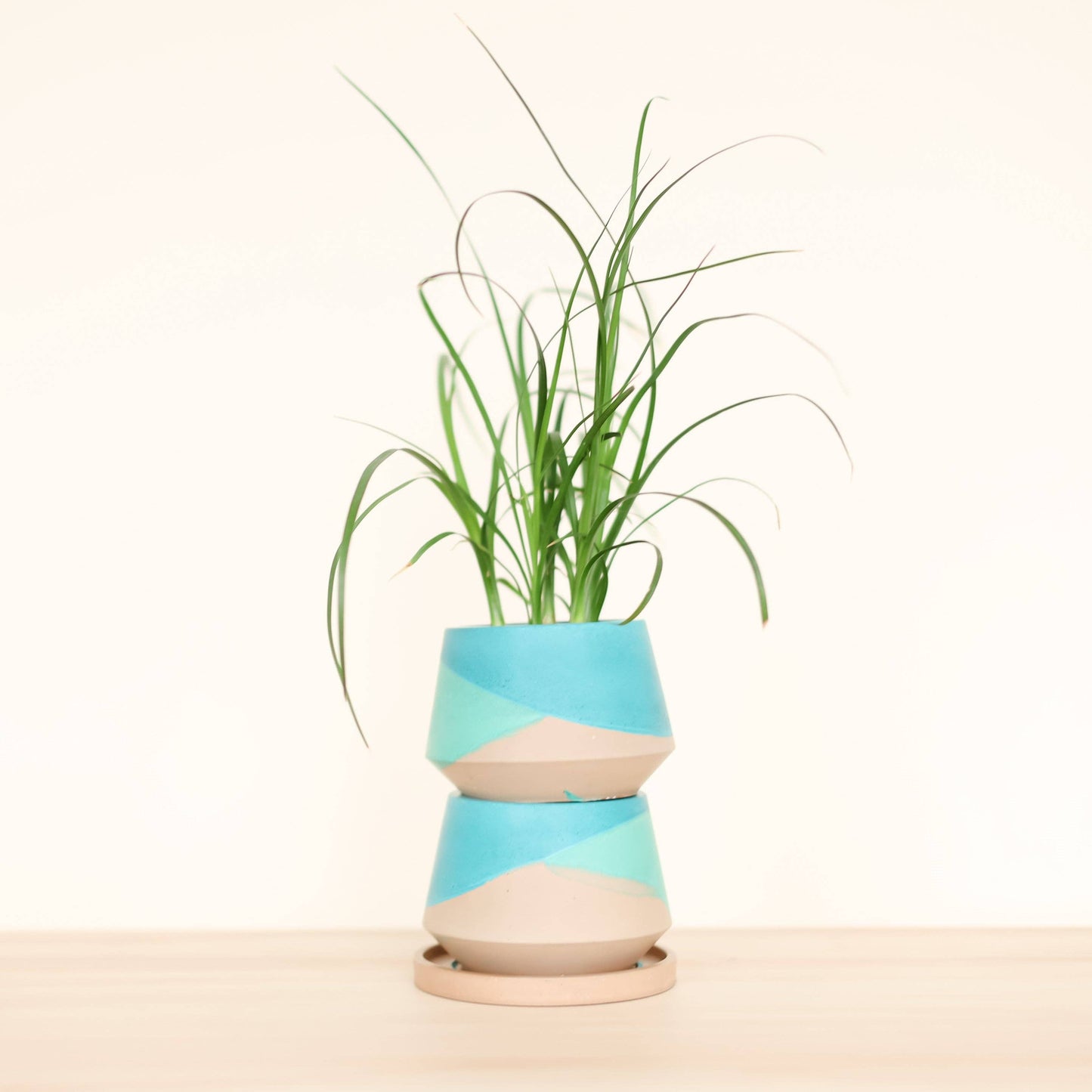 Harper 3 inch - San Juan Collection