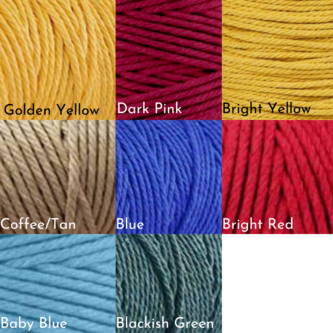 Macrame Air Plant Pod with Air Plant