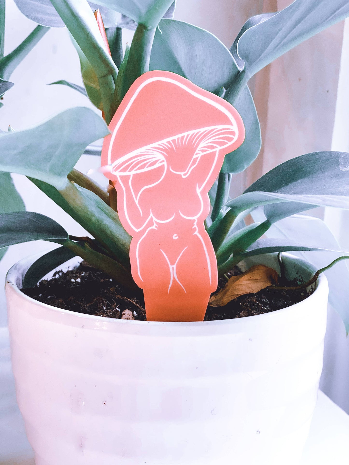 Mushroom Lady Plant Stakes