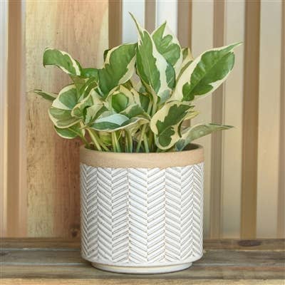 Ramos Banded Chevron Cachepot, Stoneware - 4