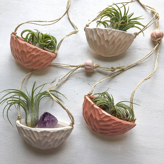 Terra cotta half moon air plant holder