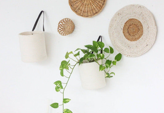 Wall Planter White Cotton Rope Hanging Basket