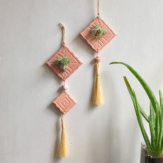 Tan Air plant holder