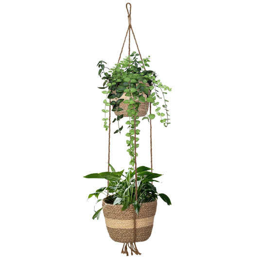 2 Tier Woven Hanging Plant Pot Seagrass Wall Hanging Planter