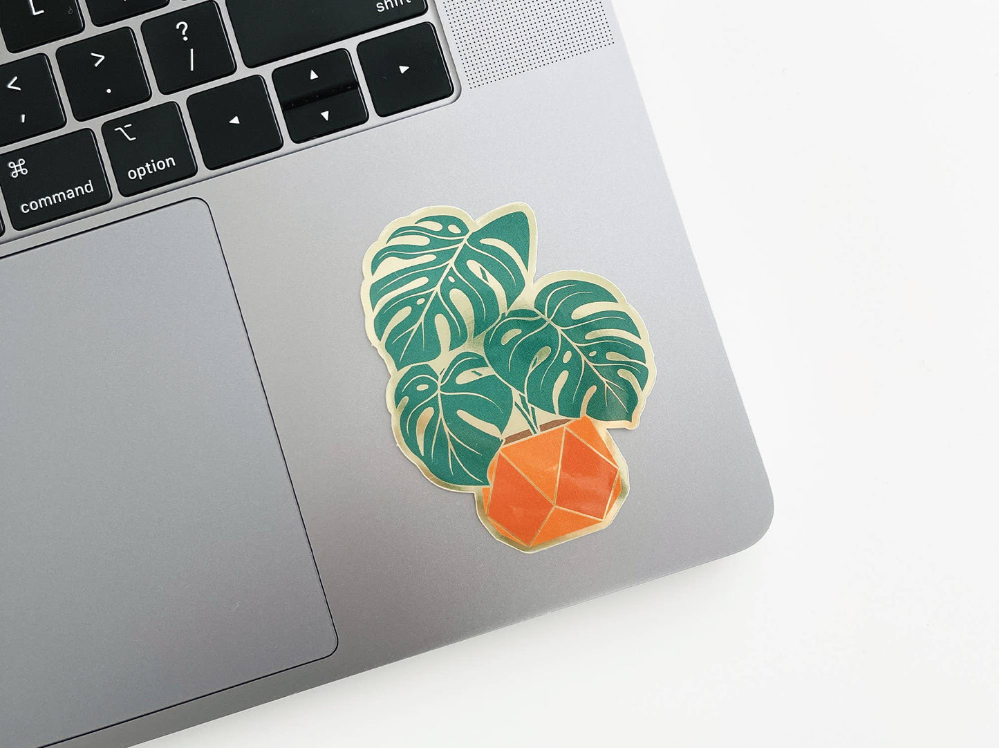 Monstera Sticker