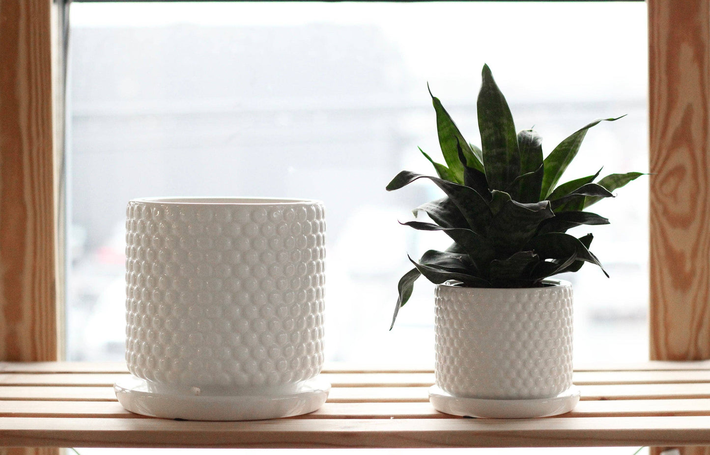 Bubble Textured Plant Pots in White Ceramic With Saucer for