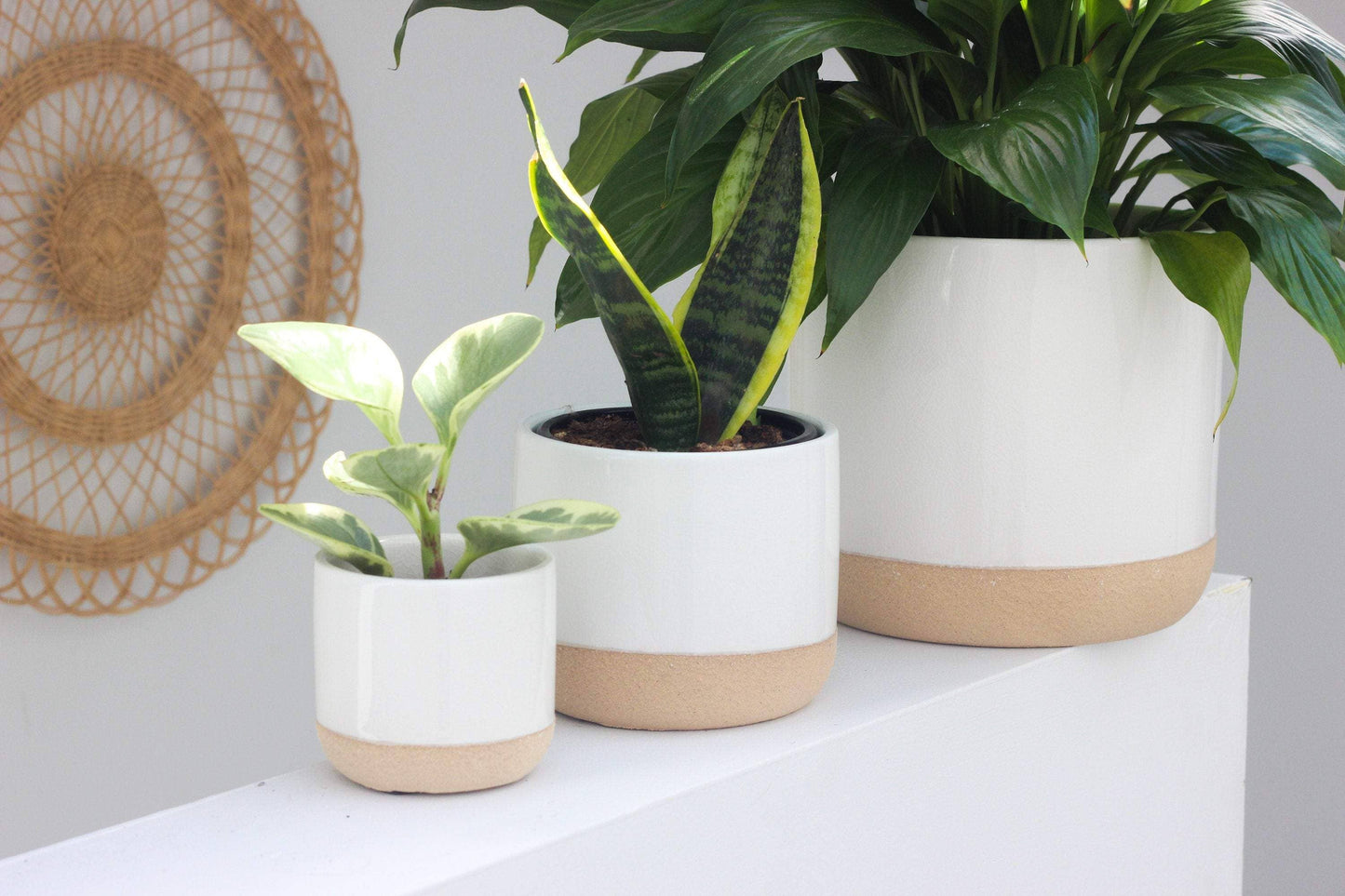 Ceramic Planter Pot White on Beige LG