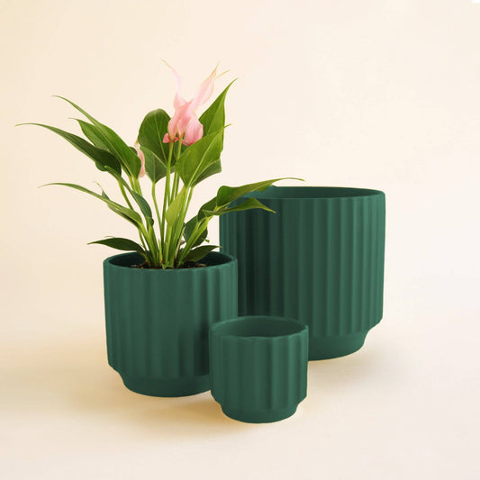 Monroe Planter - Rainforest: 6.75 inch
