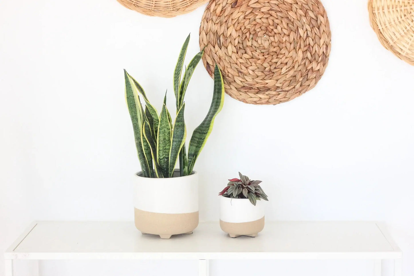 Large Neutral Matte White and Natural Minimal Footed Planter: 7