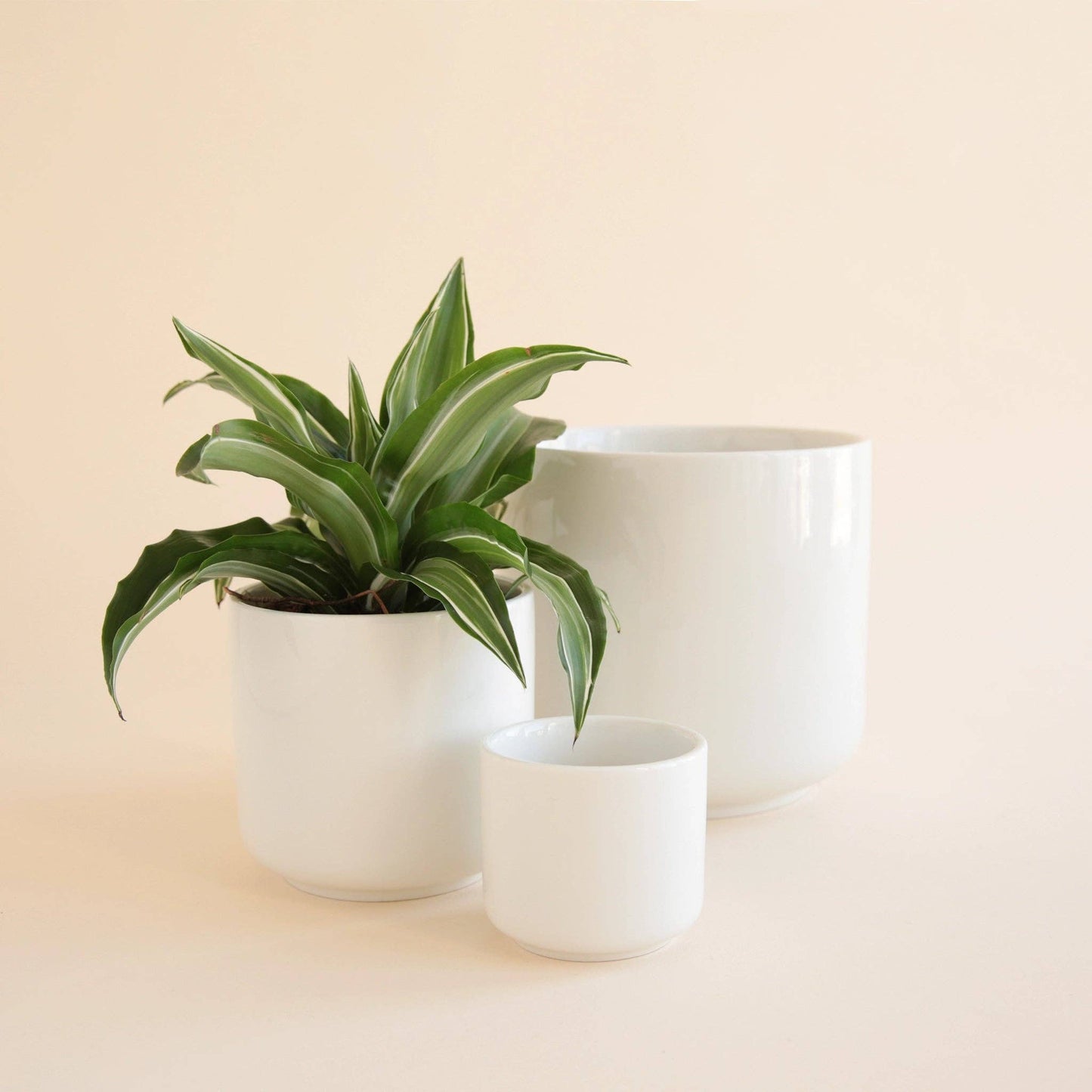 Charlie Pot | White 4.5" & 6.75": 4.5 inch