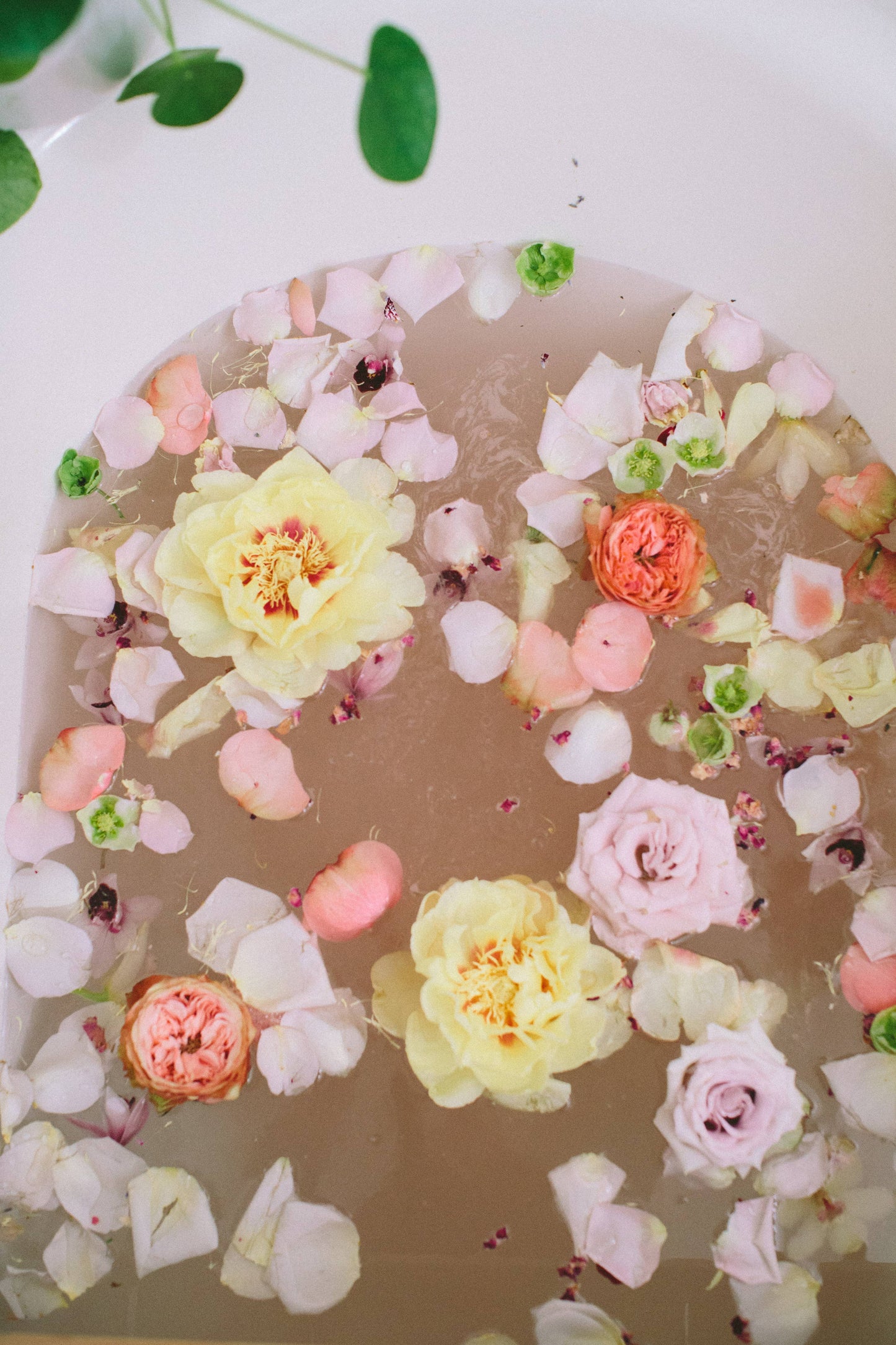 WildFlora Bath Salts: Floral, Heal, Release, Beauty