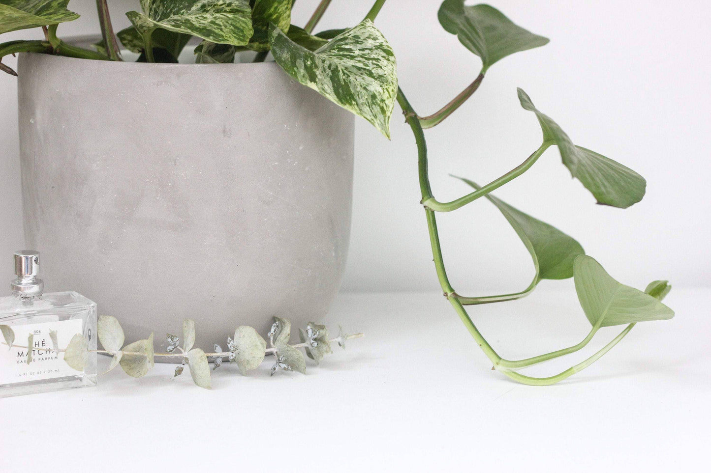 Round Concrete Indoor Planter Pot: 5"