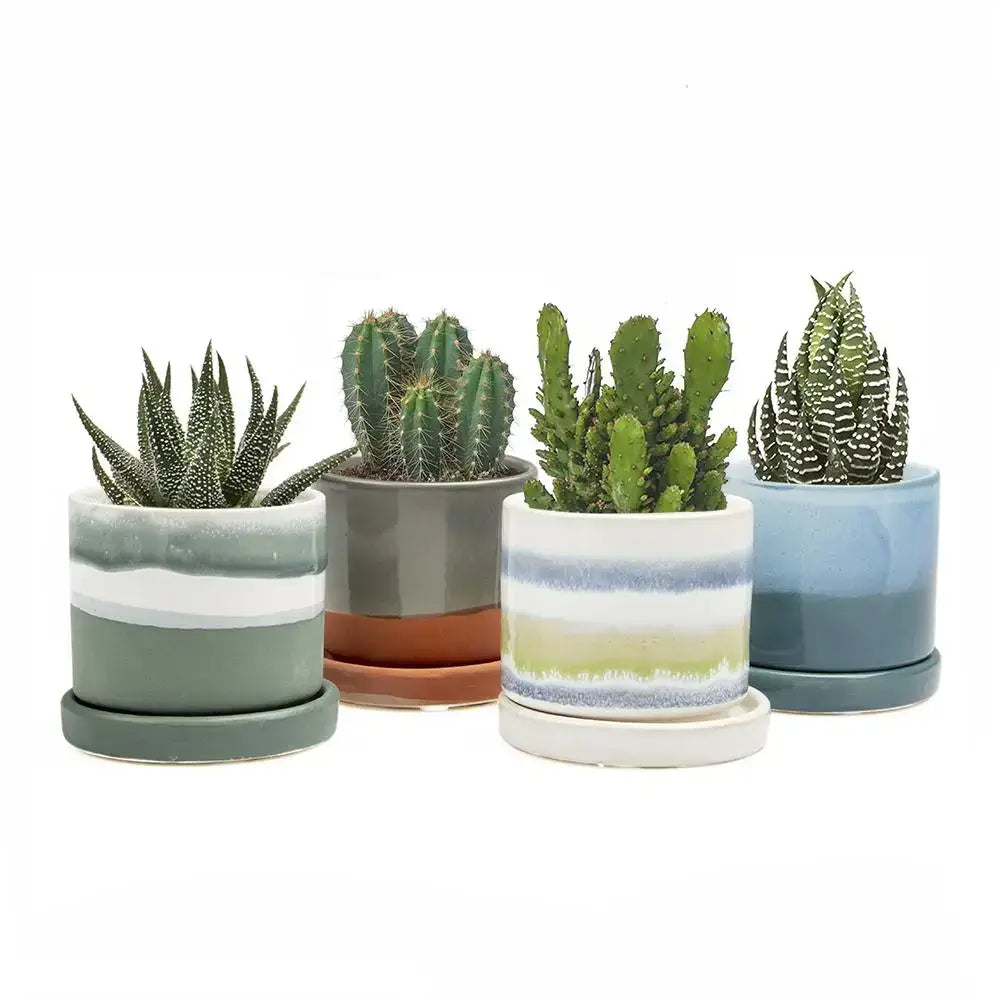 Minute Ceramic Plant Pots Indoor: Green Layers / 5"