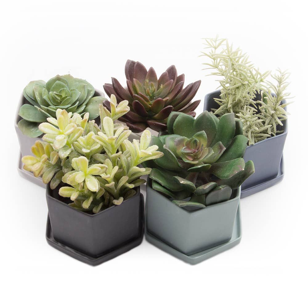 Hexi Ceramic Pots and Planters: White / 3.5"