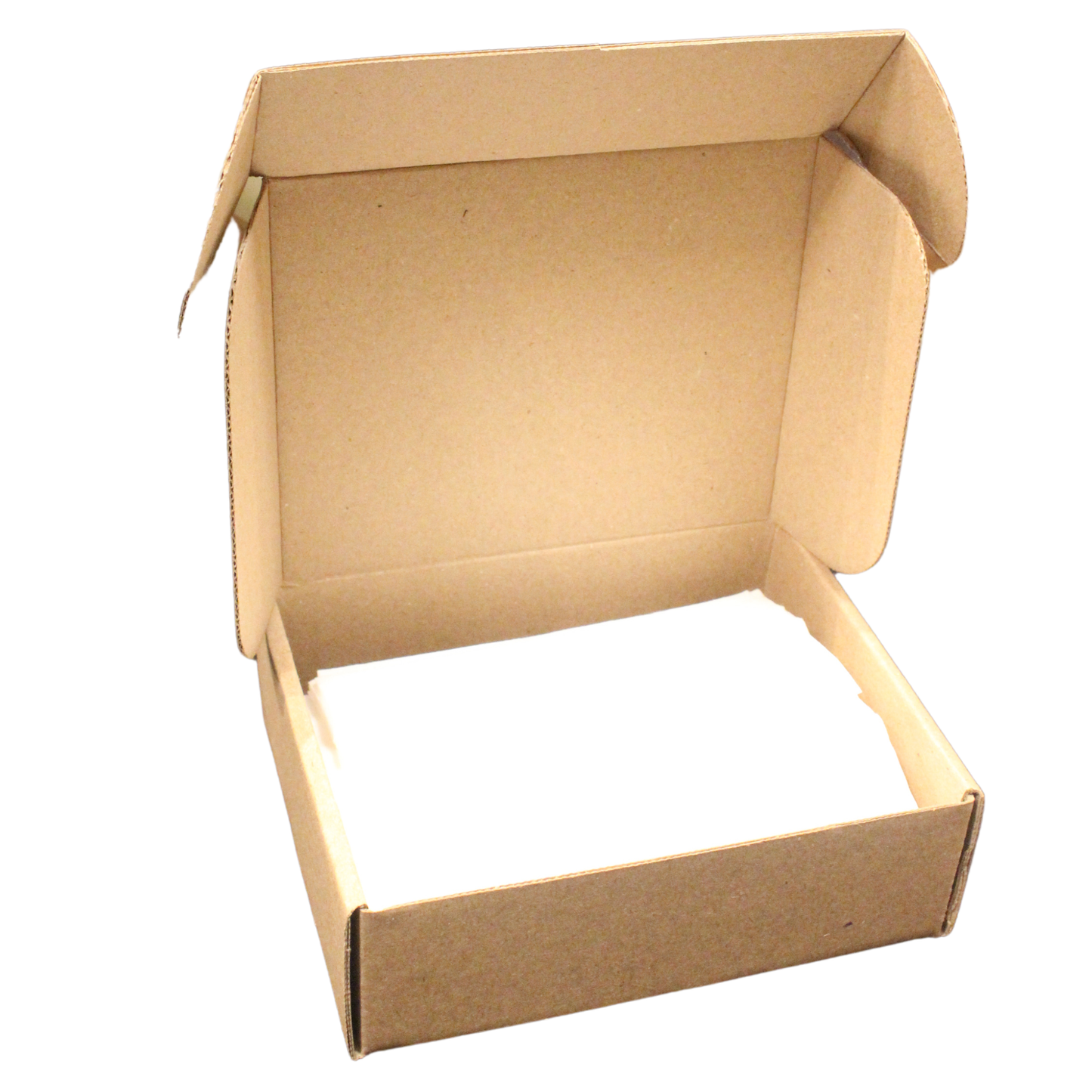 Dryer Sheets - Eco Clean -Retail packaged - 50 LG Sheets: FRESH LINEN